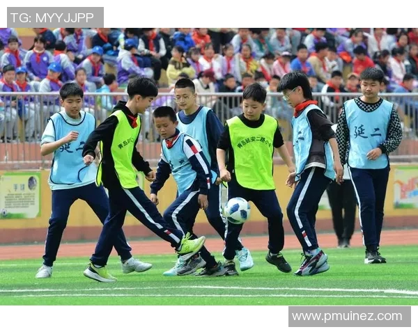 哇卡哇卡足球明星带你领略绿茵场上的激情与梦想