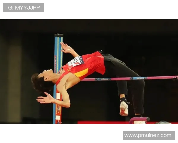 中国体育明星的奋斗历程与辉煌成就背后的感人故事与人生启示